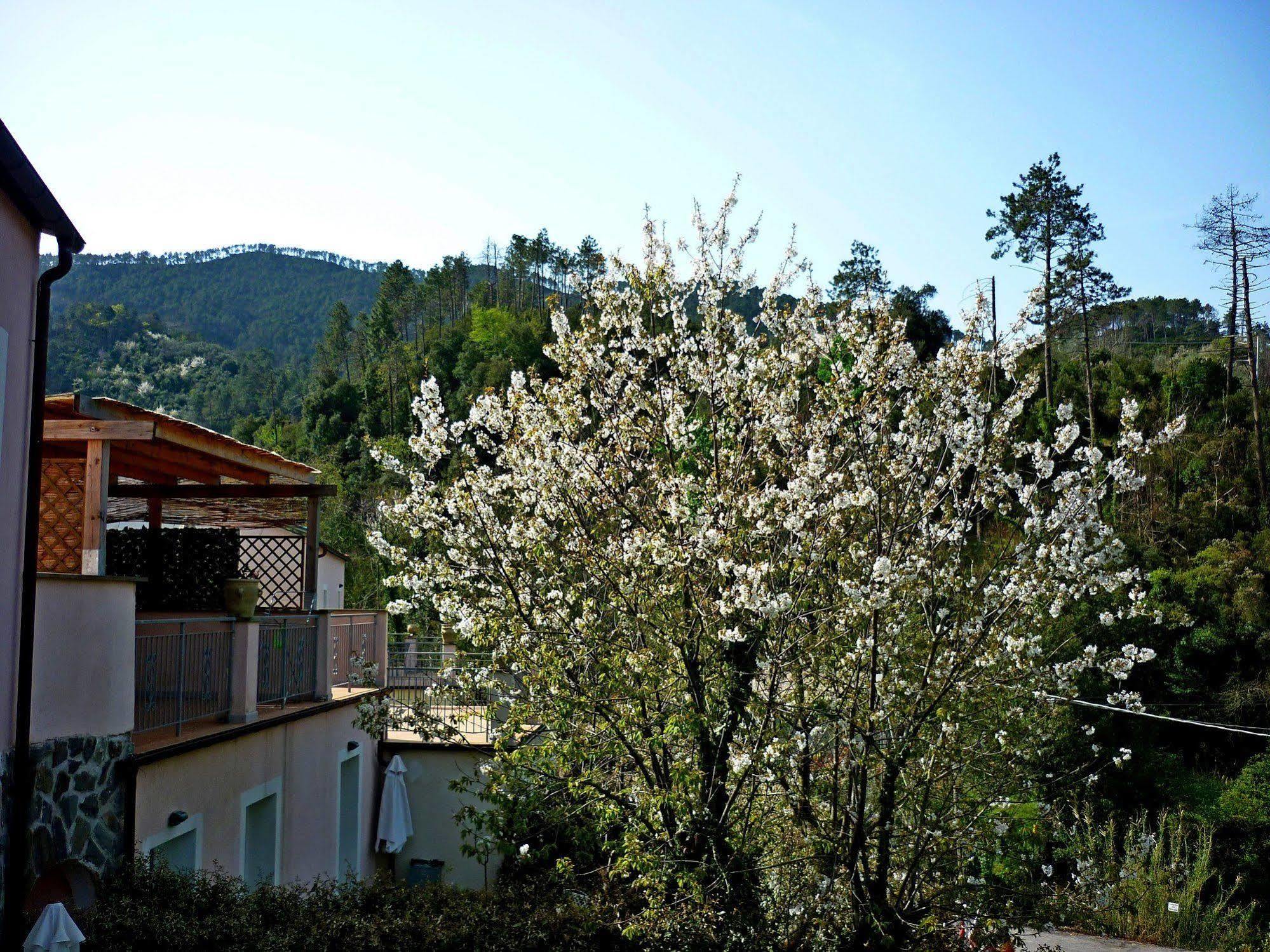Aparthotel Costa Morroni 3*